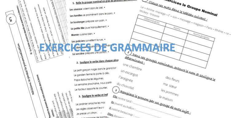 exercices grammaire CE1 – La trousse bleue