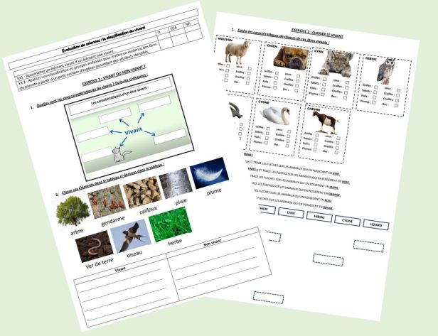 Séquence sciences CM « classification du vivant » – La trousse bleue